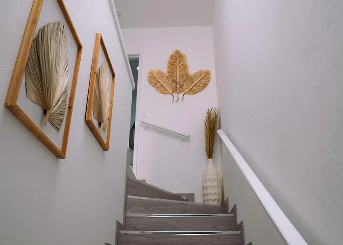 펜션 Casa Do Carrico 페소다레과